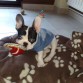 creo q sirvo para modelo...
